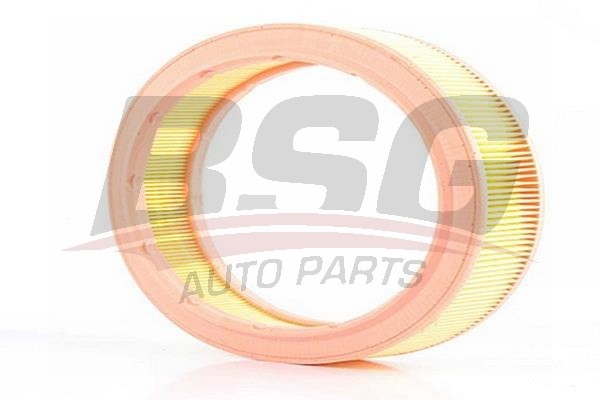 Фильтр воздушный VW Golf 4 (00-) SEAT Ibiza 2,3,4,Tolledo 2 SKODA Octavia BSG BSG90135003 BSG