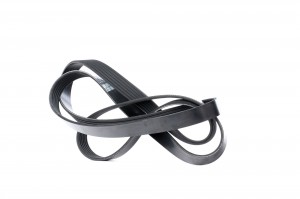 Ремень приводной поликлиновой 6PK1842 DAYCO 6PK1842 DAYCO