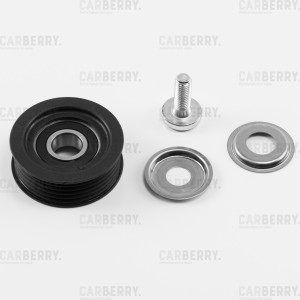 HYUNDAI/KIA 55CA385 CARBERRY