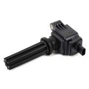 LAND ROVER RANGE ROVER EVOQUE (2011>) 2.0 16V TURBO TIVCT GIG16108 GANZ