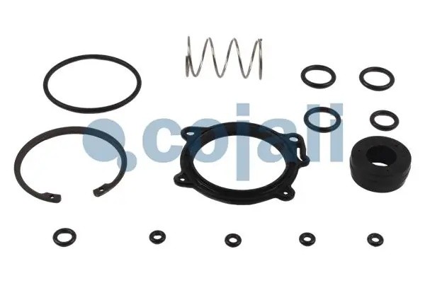 РМК модуля EBS Knorr 6014048 COJALI