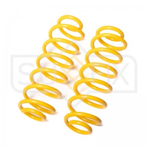 Пружины подвески задние VW Passat 05-10 / Tiguan 07-18 SZ-2980 SZ-2980 SUFIX