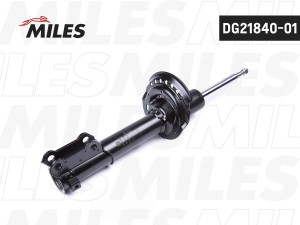 ЗАМЕНА НА DG21840 Амортизатор передний правый HYUNDAI CRETA (GS) 1.6 (121-123 лс DG21840-01 MILES