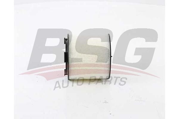 Фильтр воздушный VW Polo (TDI) AUDI A1 (TDI) SKODA Fabia (TDI) BSG BSG90135021 BSG
