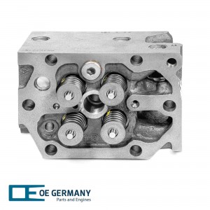 Головка блока цилиндров [R6 D128 c клапанами] 020129287601 OE GERMANY