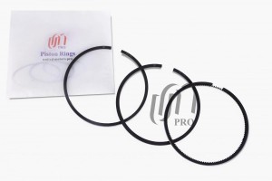 Кольца поршневые STD VW 2.0 TDi 16V CAGA/CAHB/CAAD d81.01 STD 1.75-2.0-3.0 на 1  PR1569000 UNITED MOTORS PRO
