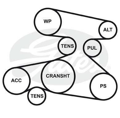 Ремень приводной поликлиновой 4PK803 GATES 4-PK-803 GATES