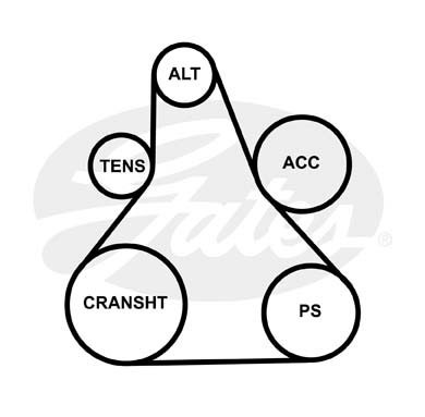 Поликлиновой ремень 6DPK1215 (8653-10587) 6DPK1215 GATES