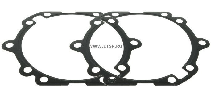 Прокладка 0501331906 ZF