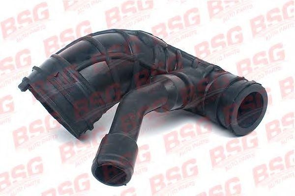 Патрубок PEUGEOT 206,307 (01-) CITROEN C2,C3 (02-) FORD Fiesta (01-) фильтра воз BSG 30-720-045 BSG