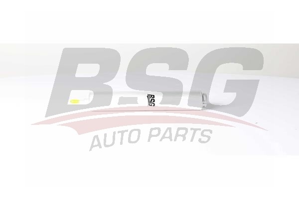 Фильтр топливный BMW 1 (E81),3 (E46),5 (E60,F10),7(E65,F01-F04),X3,X5,X6 BSG BSG15130003 BSG