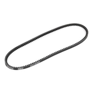 ALFA/AUDI/BMW/HONDA/OPEL... AVX10X875 10-A-0875 C DAYCO