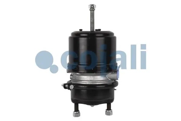 Энергоаккумулятор (дисковый тормоз) прав. TYPE 24/24 2251513 COJALI