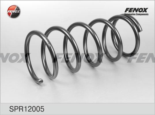 Пружина передняя  2шт SPR12005 FENOX
