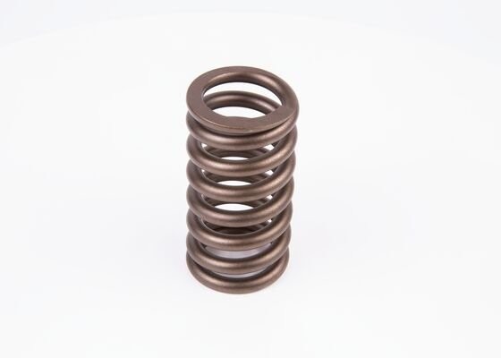 Пружина RENAULT Magnum 400 форсунки BOSCH F00HN36635 BOSCH