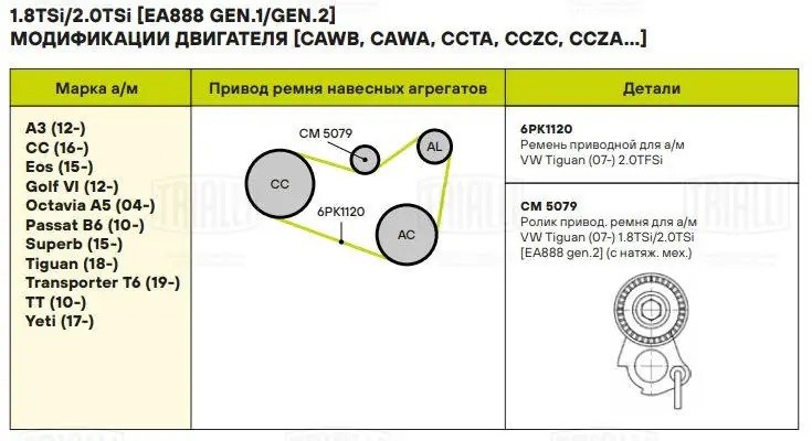 Ролик приводного ремня с натяжным механизмом CM5079 TRIALLI