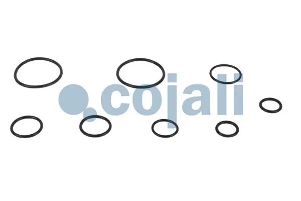 Р/к модуля EBS (пружины, прокладки, уплот кольца, стопорные кольца, втулки) 6012297 COJALI