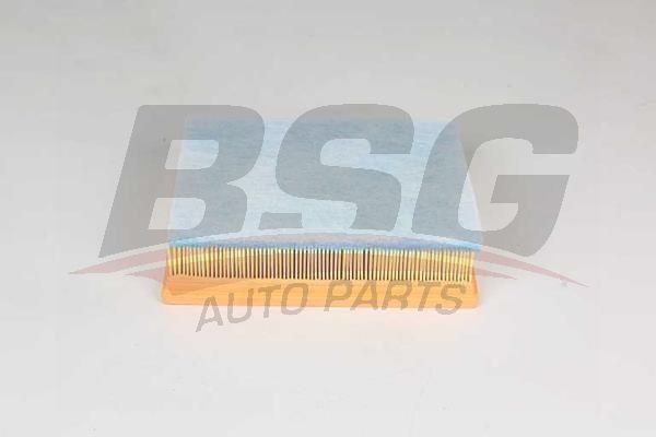 Фильтр воздушный RENAULT Laguna (07-) BSG BSG75135021 BSG