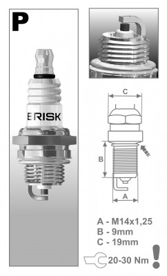 Свеча зажигания GARDEN PR17Y (3021) PR17Y BRISK
