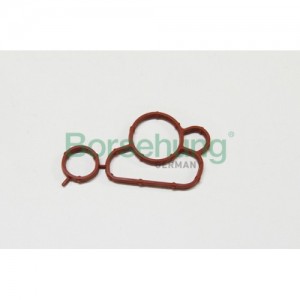 прокладка корпуса масляного фильтра!\ Audi A4,VW Passat 5 1.8TFSi-2.0TFSi 07> B19248 BORSEHUNG