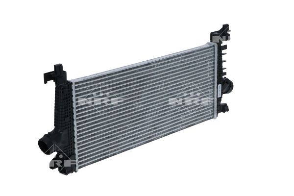 Радиатор масляный MB Actros 31177 NRF