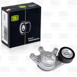 Ролик привод. ремня BMW 3 F30 (11-)/5 F10 (11-) 2.0i [N20;26] (с натяж. мех.) (C CM 2608 TRIALLI