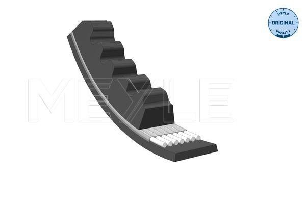 ремень клиновой !10x700 \VW Golf 1.6D/TD 83-91, Citroen CX 2.5/2.5D/TD 84-91, MA 052 010 0700 MEYLE