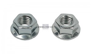 Гайка BPW пневматической рессоры комплект (2шт.) DT 10.16061 DIESEL TECHNIC