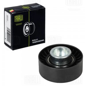 TRANSIT (2000>) CM 1011 TRIALLI