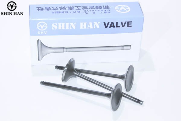 Клапан впускной CHEVROLET Aveo (03-) (1.2) (1шт.) SHINHAN 94580146 SHINHAN