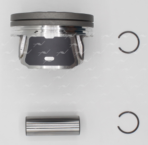 PN-51231 ПОРШЕНЬ 0.50 SKODA/VW 1.4 TSI 16V BLG/CAVA/CTHA... PN-51231 AUTOWELT