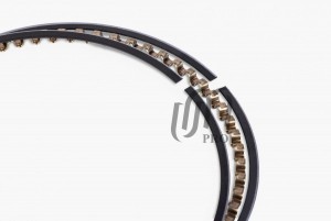 Кольца поршневые STD UNITED MOTORS PR1219000 UNITED MOTORS PRO