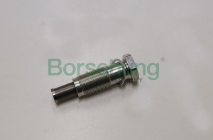 натяжитель цепи!\ VW Caddy 4 (2C)/ Golf 6 /Jetta 4/5 (16)/New Beetle (5C)/Polo 5 B1T002 BORSEHUNG