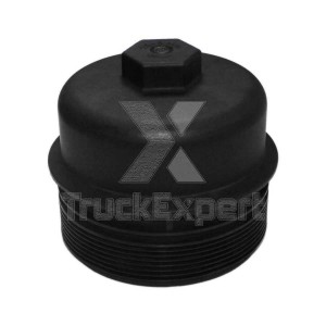 SCANIA D9/13 12022021 TRUCKEXPERT