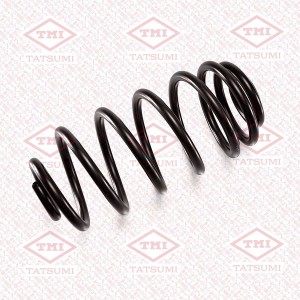 Пружина задняя CHEVROLET Cruze 09- OPEL Astra J 09- TAE1039 TAE1039 TATSUMI