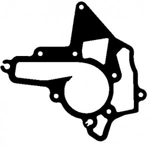 Прокладка помпы 70-36276-00 VICTOR REINZ