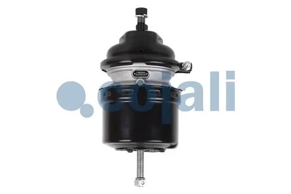 энергоаккумулятор! T16 дискового тормоза\ MAN 2251532 COJALI