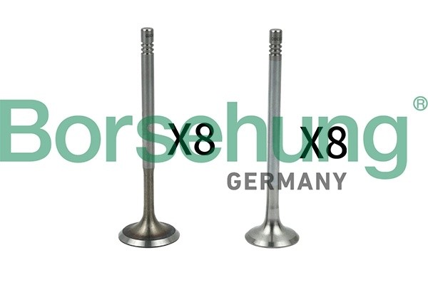 к-кт клапанов! впуск./выпуск. 16шт. 29.5x6x100.9\ VW Bora/Golf/Polo/Caddy 1.4/1. B18630 BORSEHUNG