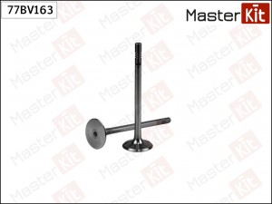 Клапан впускной VAG CARB,CEXA 77BV163 77BV163 MASTER KIT