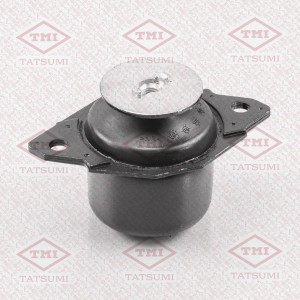 VW GOLF III / PASSAT B3 / POLO TEG1300 TATSUMI