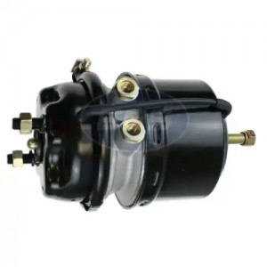 Энергоаккумулятор T24/24 9254810320 02062424032 EBS