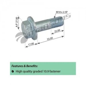 Болт DAF крепления суппорта (M18x2.5x55) MANSONS 200.341 MANSONS