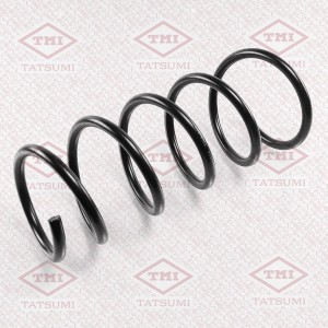 Пружина задняя RENAULT Duster AWD 10- TAE1030 TAE1030 TATSUMI