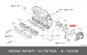 NISSAN X-TRAIL (T31) (2007>) 16175-ET80A NISSAN