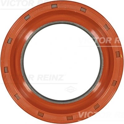 FIAT DUCATO (2002-2006) 80 x 50 x 14 81-37601-00 VICTOR REINZ