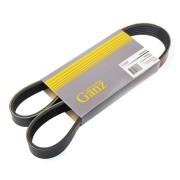 DAF 95 XF (1997-2002) GRQ01009 GANZ