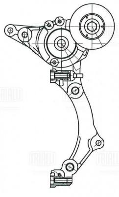 Ролик привод. ремня Toyota Land Cruiser 200 (07-) 4.5d [VD] (с натяж. мех.) гене CM 5981 TRIALLI