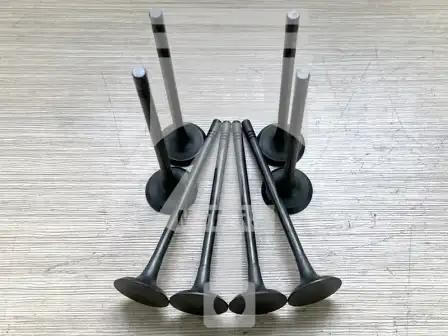 Клапан EVE0806 выпуск Jaguar/Ford/Land Rover 2,0T Petrol 204PT 28,2x5,5 AJ200 LR EVE0806 ALL4MOTORS