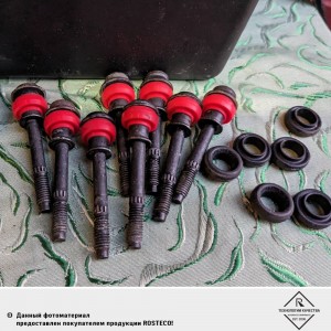 Прокладка клапанной крышки + кольца уплотнительные болтов крепления MVQ 21422 ROSTECO