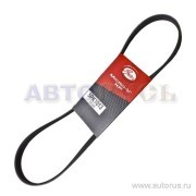 Поликлиновой ремень 5PK1013 (8653-10165) 5-PK-1013 GATES
